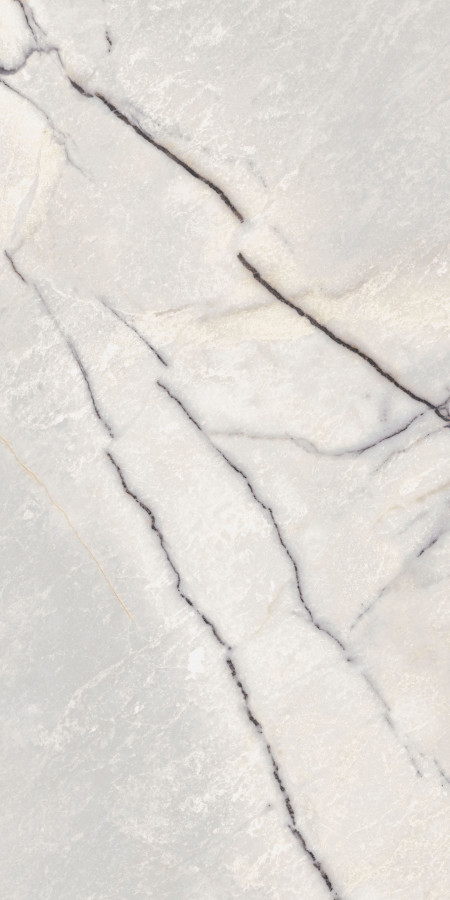 Керамогранит 120x60 0009023 Greylac Platinum Lux Ret Supreme Treasure полированная мрамор 9мм Flaviker Керамогранит 120x60 0009023 Greylac Platinum Lux Ret Supreme Treasure полированная мрамор 9мм Flaviker