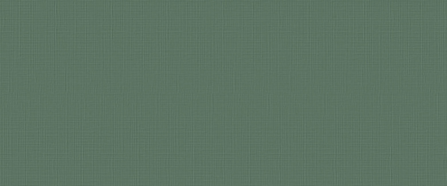 Плитка 120x50 8.5мм I360 Lilysuite Green матовая Marca Corona Плитка 120x50 8.5мм I360 Lilysuite Green матовая Marca Corona