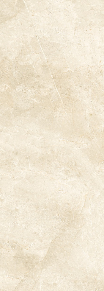 Плитка настенная 119x43 98993 Grigio Imperiale Light Grand Tour глянцевая мрамор Naxos Плитка настенная 119x43 98993 Grigio Imperiale Light Grand Tour глянцевая мрамор Naxos