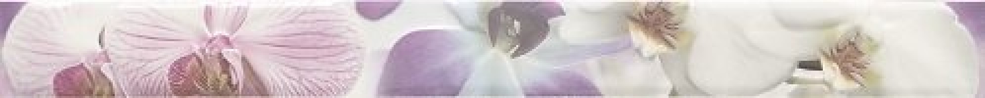 Бордюр 75x8 Listelo Orquidea Lila 2рой сорт Paris глянцевая Mallol Бордюр 75x8 Listelo Orquidea Lila 2рой сорт Paris глянцевая Mallol