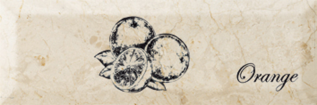 Плитка декор 30x10 8мм Fruit Mistral Orange глянцевая Monopole Плитка декор 30x10 8мм Fruit Mistral Orange глянцевая Monopole