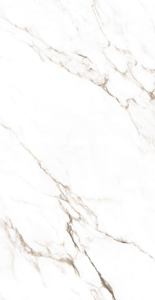 Керамогранит 160x80 Statuario Castork India glossy Ocean Ceramic INDIA NEW Керамогранит 160x80 Statuario Castork India glossy Ocean Ceramic INDIA NEW