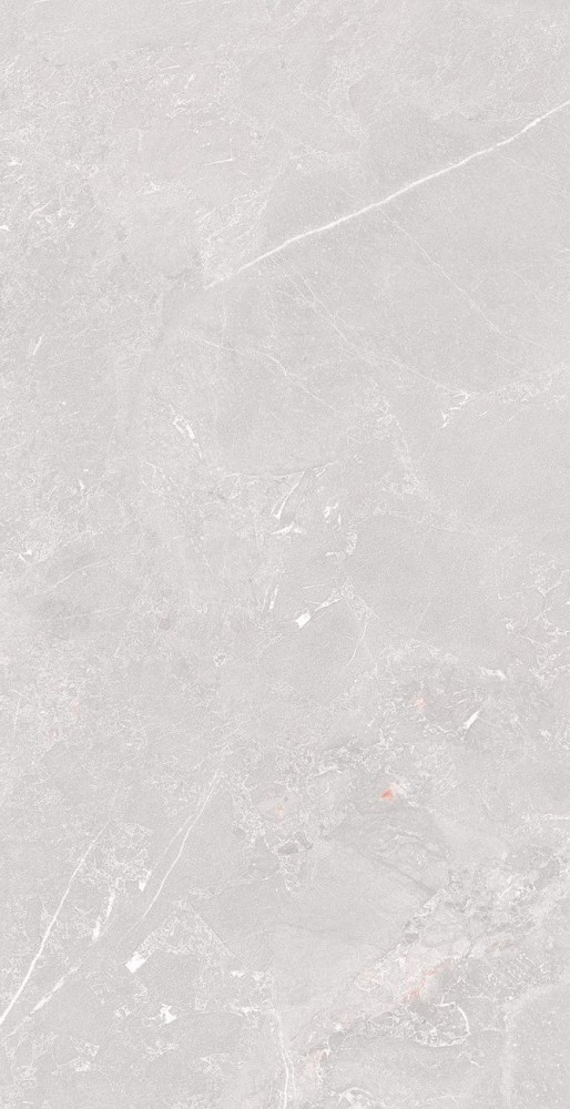 Element Amaranto Grey 80х160 матовая Ocean Ceramic INDIA NEW Element Amaranto Grey 80х160 матовая Ocean Ceramic INDIA NEW