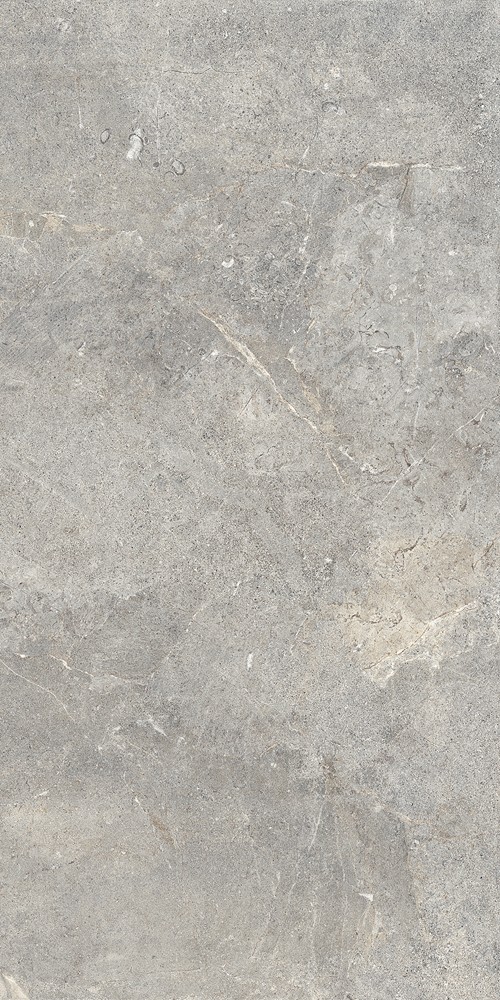 Керамогранит 120x60 Evergreige Rett матовая 9.5мм Cercom Керамогранит 120x60 Evergreige Rett матовая 9.5мм Cercom