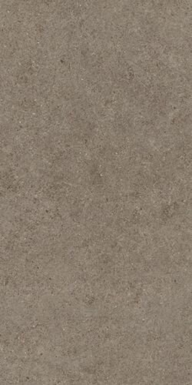 Плитка 120x60 9мм Boost Stone Taupe A6Q6 матовая коричневый камень Atlas Concorde Плитка 120x60 9мм Boost Stone Taupe A6Q6 матовая коричневый камень Atlas Concorde