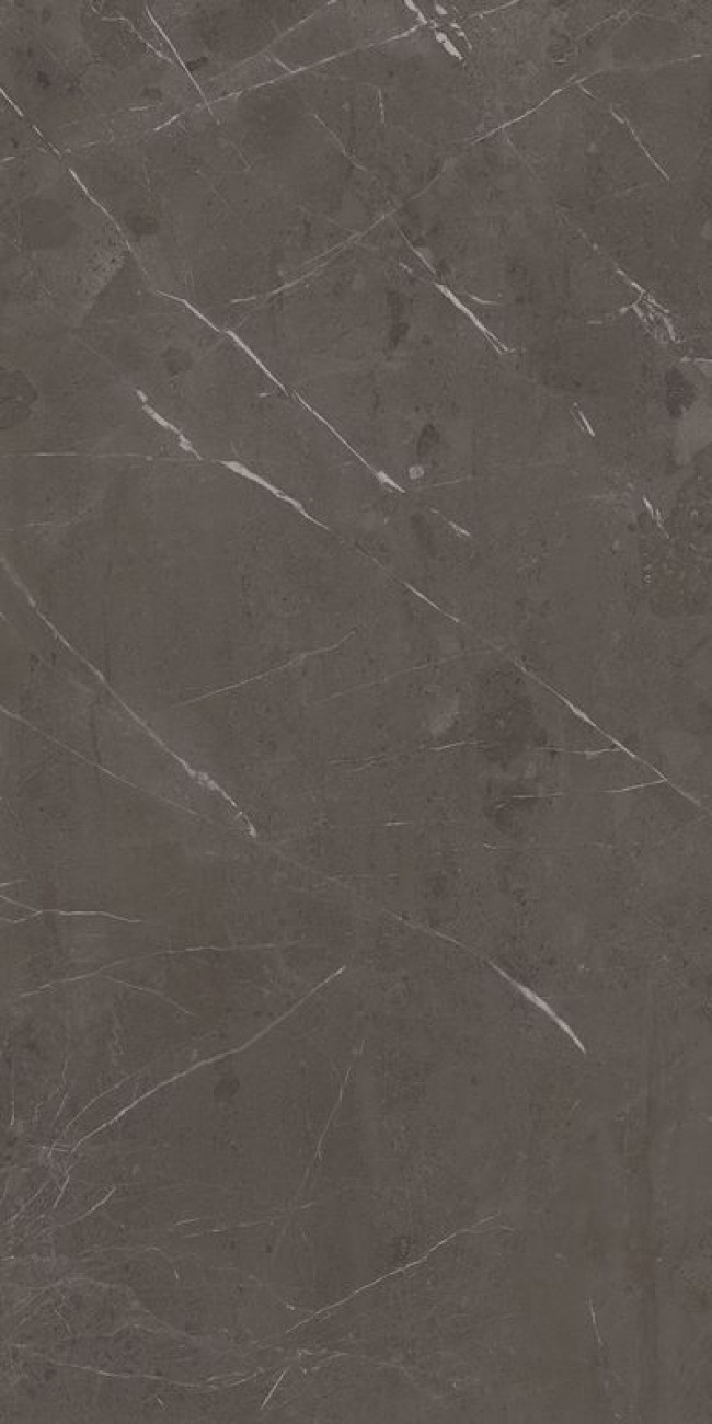 Плитка Atlas Concorde 120x60 Marvel Diva Precious Brown Velvet Au8H сатинированная серый, темно-серый камень, мрамор 9мм Плитка Atlas Concorde 120x60 Marvel Diva Precious Brown Velvet Au8H сатинированная серый, темно-серый камень, мрамор 9мм