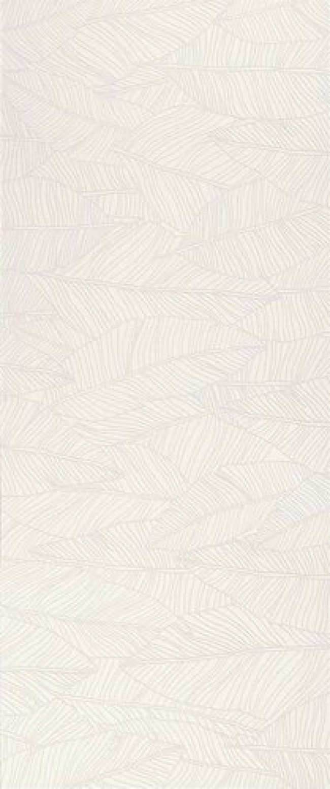 Плитка 120x50 9мм Aplomb White Leaf A6Fc матовая белый под обои Atlas Concorde Плитка 120x50 9мм Aplomb White Leaf A6Fc матовая белый под обои Atlas Concorde