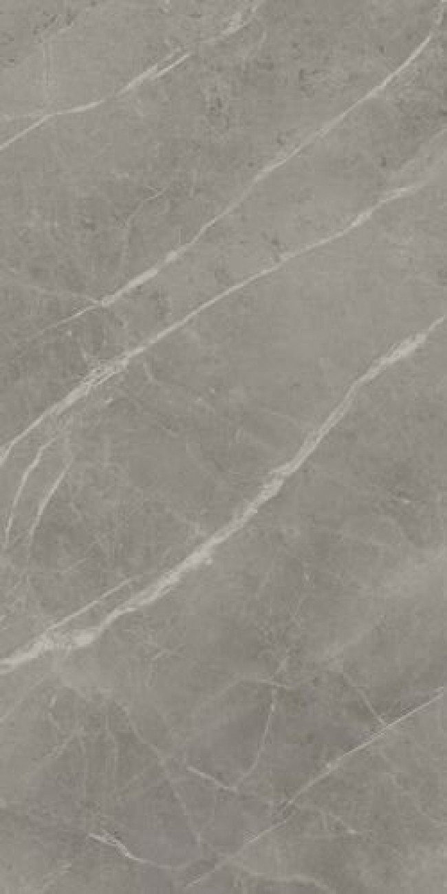 Плитка Atlas Concorde 120x60 Marvel Grey Fleury A21F матовая серый мрамор 9мм Плитка Atlas Concorde 120x60 Marvel Grey Fleury A21F матовая серый мрамор 9мм