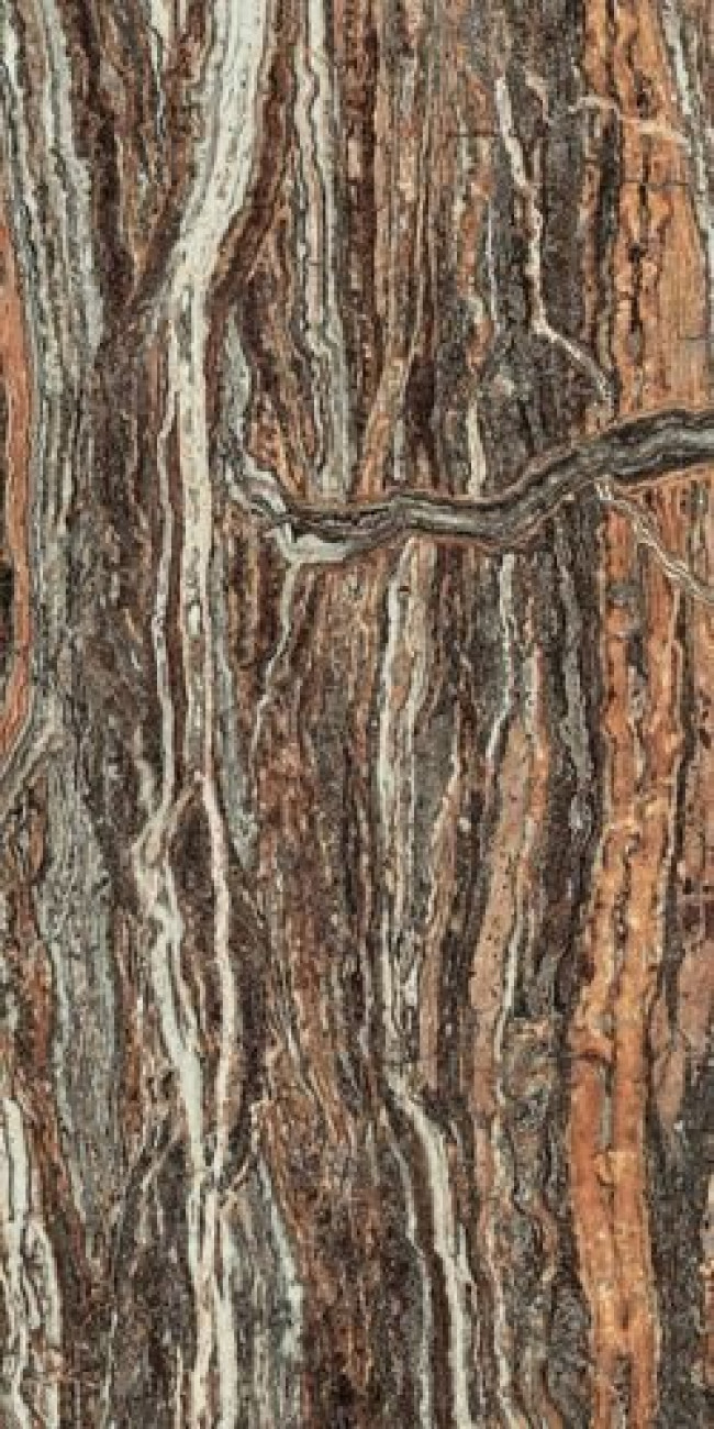 Плитка 120x60 9мм Epos Jurassic Rett Lapp Эпос Джурассик Рет Лапп 610015000597 глянцевая коричневый травертин, камень, мрамор Атлас Конкорд Плитка 120x60 9мм Epos Jurassic Rett Lapp Эпос Джурассик Рет Лапп 610015000597 глянцевая коричневый травертин, камень, мрамор Атлас Конкорд