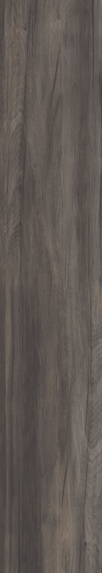 Плитка 120x20 Dolphin Coal Rett. матовая 9мм Abk Плитка 120x20 Dolphin Coal Rett. матовая 9мм Abk