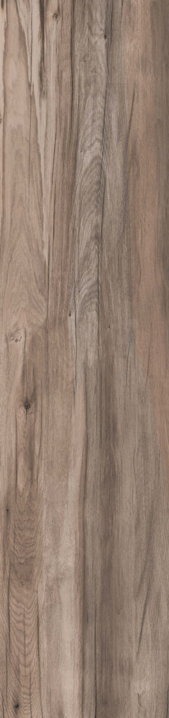 Плитка 170x40 Dolphin Oak Rett. матовая 9мм Abk Плитка 170x40 Dolphin Oak Rett. матовая 9мм Abk