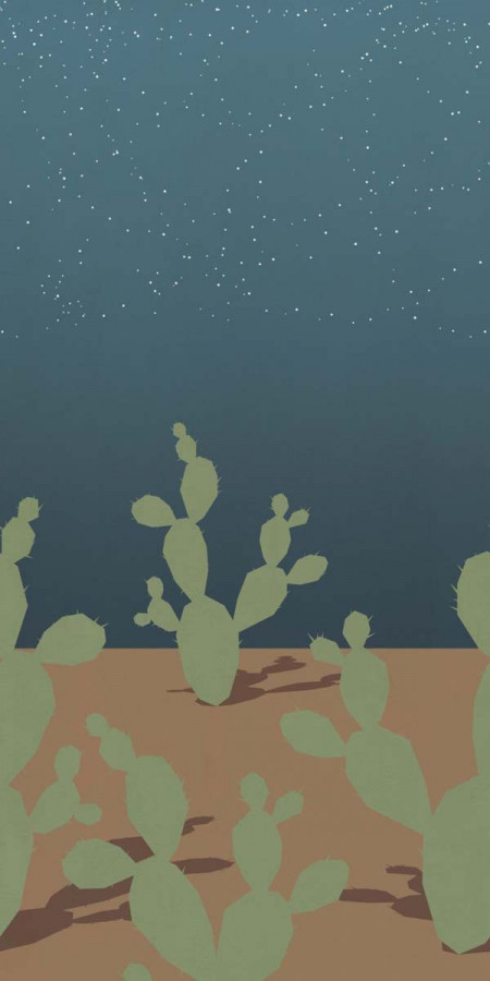 Плитка 320x160 W&s D+ Arizona C матовая 6мм Abk Плитка 320x160 W&s D+ Arizona C матовая 6мм Abk