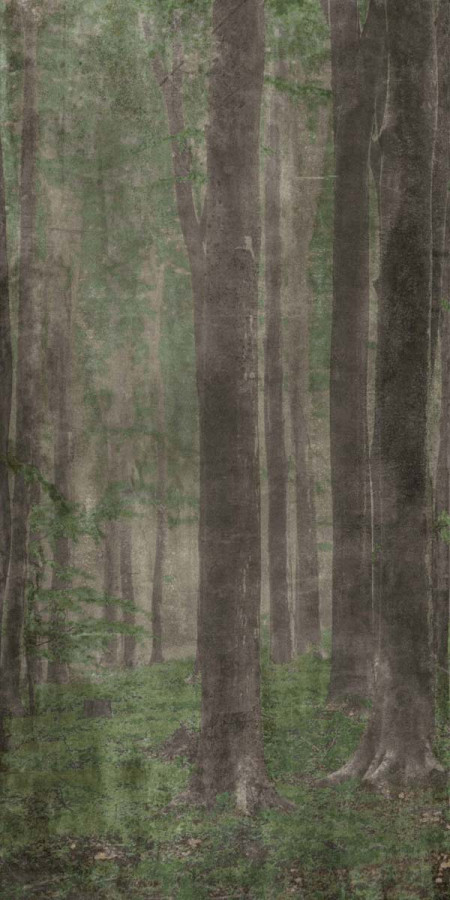 Керамогранит 320x160 W&s D+ Woods A матовая 6мм Abk Керамогранит 320x160 W&s D+ Woods A матовая 6мм Abk