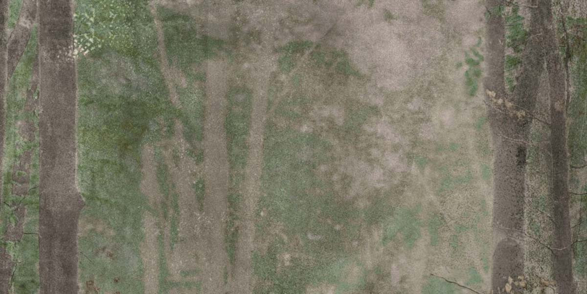 Плитка 240x120 W&s D+ Cp4 Woods B Abk Плитка 240x120 W&s D+ Cp4 Woods B Abk