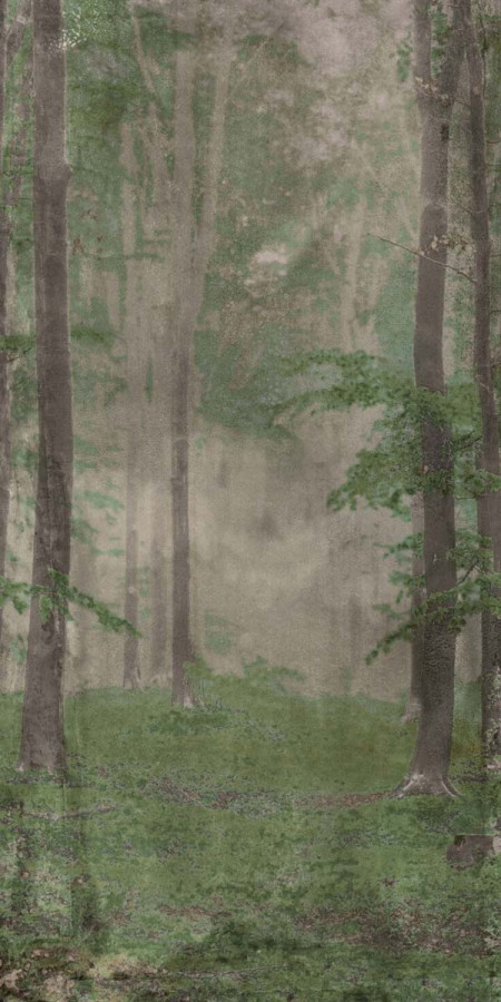 Плитка 240x120 W&s D Woods B матовая 7мм Abk Плитка 240x120 W&s D Woods B матовая 7мм Abk