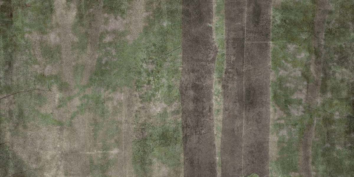 Плитка 240x120 W&s D Cp4 Woods C матовая 7мм Abk Плитка 240x120 W&s D Cp4 Woods C матовая 7мм Abk