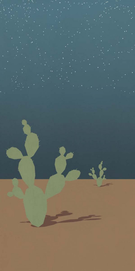 Плитка 240x120 W&s D+ Arizona B матовая 7мм Abk Плитка 240x120 W&s D+ Arizona B матовая 7мм Abk