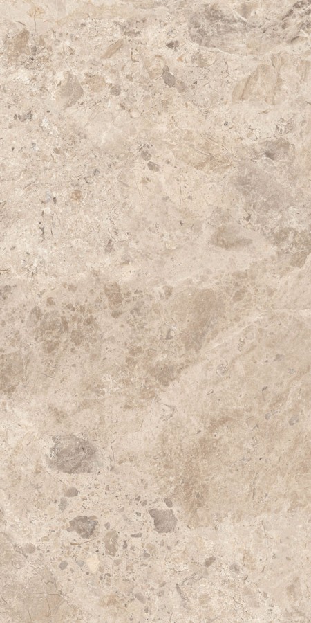 Керамогранит 120x60 Era Bloom. Taupe Nat матовая 8.5мм Abk Керамогранит 120x60 Era Bloom. Taupe Nat матовая 8.5мм Abk