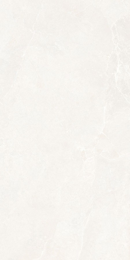 Керамогранит 120x60 Nobel Stone White матовая 8.8мм Ava Керамогранит 120x60 Nobel Stone White матовая 8.8мм Ava