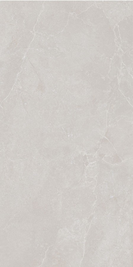 Керамогранит 120x60 Noble Stone Grey 3D Satin Rt сатинированная 8.8мм Ava Керамогранит 120x60 Noble Stone Grey 3D Satin Rt сатинированная 8.8мм Ava