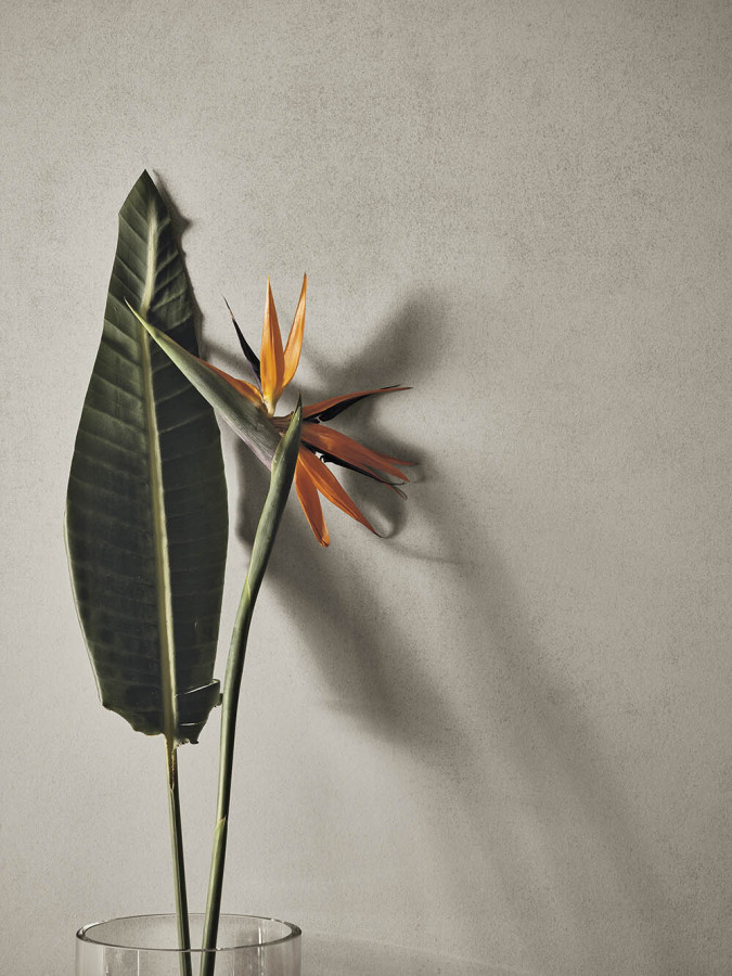 Керамогранит 120x60 Warm Matt Feel матовая серый однотонный 9мм Refin Керамогранит 120x60 Warm Matt Feel матовая серый однотонный 9мм Refin