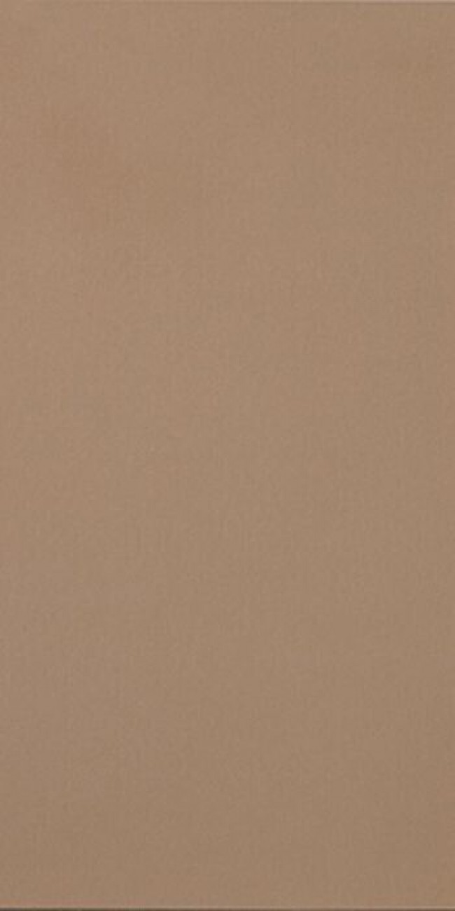 Плитка Casalgrande Padana 120x60 R-Evolution Terra 11460136 матовая коричневый бетон, цемент, однотонная 10мм Плитка Casalgrande Padana 120x60 R-Evolution Terra 11460136 матовая коричневый бетон, цемент, однотонная 10мм