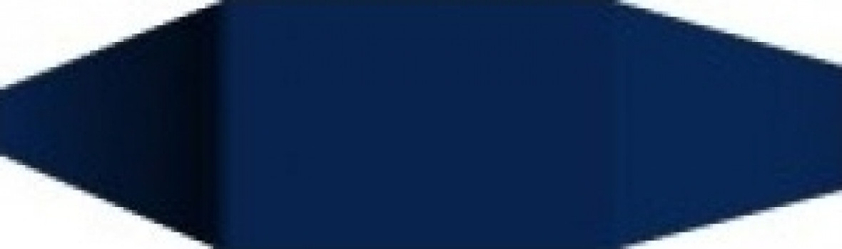 Вставка 5x2 Marino Angulo Remate Matt Mugat/rivoli матовая, рельефная моноколор однотонный Vives Вставка 5x2 Marino Angulo Remate Matt Mugat/rivoli матовая, рельефная моноколор однотонный Vives