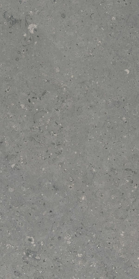 Керамогранит 120x60 11мм G213 Аркаим матовый камень серый Гранитея Керамогранит 120x60 11мм G213 Аркаим матовый камень серый Гранитея