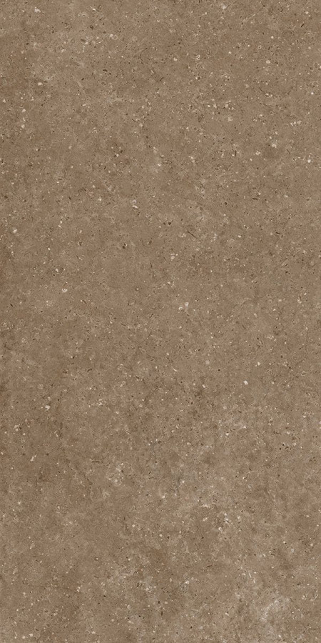 Керамогранит 120x60 11мм G214 Аркаим матовый камень коричневый Гранитея Керамогранит 120x60 11мм G214 Аркаим матовый камень коричневый Гранитея