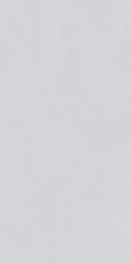 Плитка 80x40 Royal light grey sat. Тон 220202-B51 Bonaparte Плитка 80x40 Royal light grey sat. Тон 220202-B51 Bonaparte