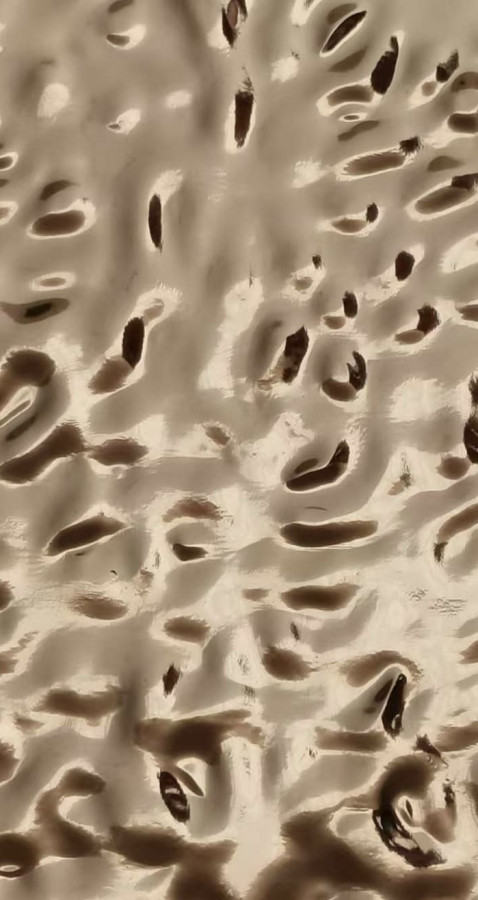 Стеновая панель 280x110 Relief gold FB-H077E Bonaparte Стеновая панель 280x110 Relief gold FB-H077E Bonaparte