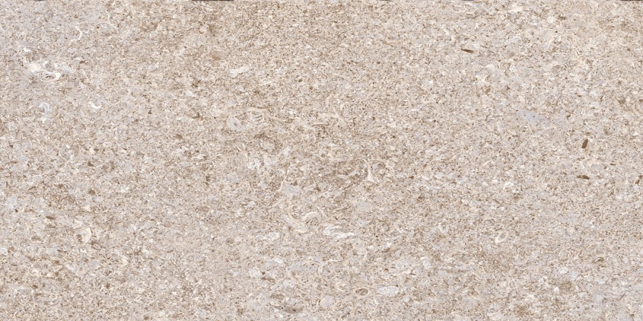 Керамогранит 60x30 Алькон Светло-Серый TP3625A камень серый глянцевая 8.5мм Тянь Шань Керамогранит 60x30 Алькон Светло-Серый TP3625A камень серый глянцевая 8.5мм Тянь Шань