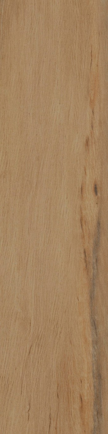 Керамогранит 40x10 9.5мм I Lecci leccio oliato матовая коричнево-бежевый Serenissima Керамогранит 40x10 9.5мм I Lecci leccio oliato матовая коричнево-бежевый Serenissima