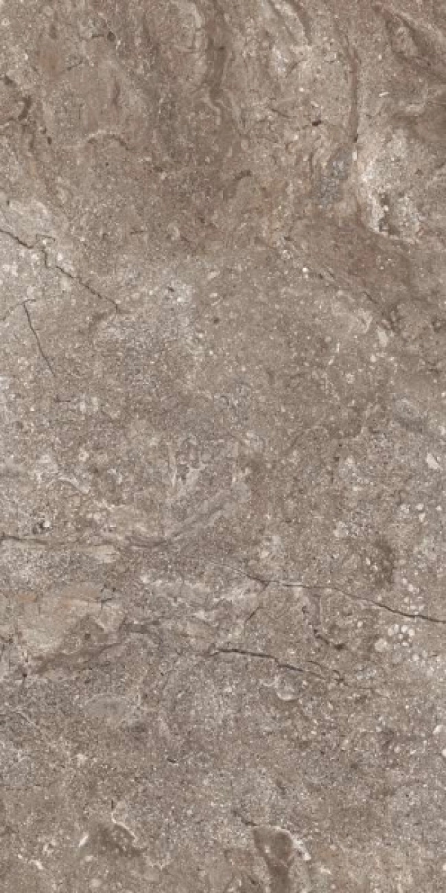 Керамогранит 120x60 8.6мм 6405 Stone Grey Polished полированная Leopard Керамогранит 120x60 8.6мм 6405 Stone Grey Polished полированная Leopard