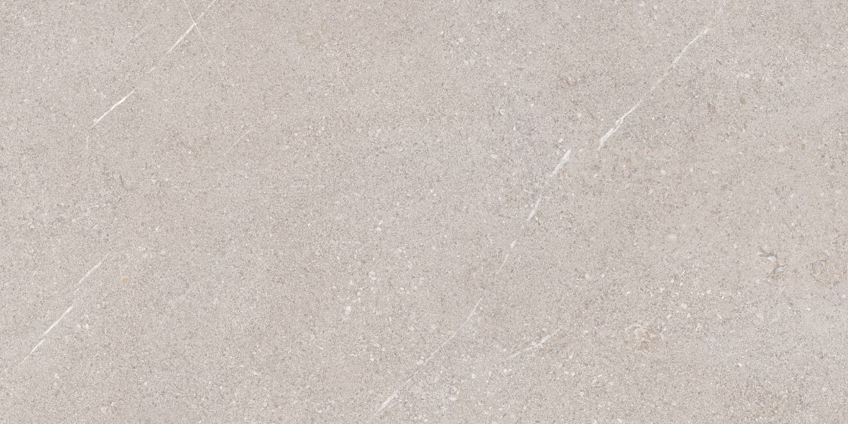 Керамогранит 120x60 Керамогранит Museum Piemonte матовая серый бетон 9мм Museum Керамогранит 120x60 Керамогранит Museum Piemonte матовая серый бетон 9мм Museum