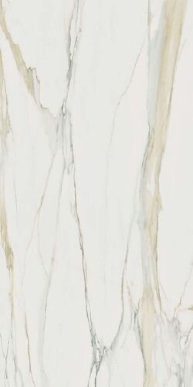 Плитка Rex Ceramiche 240x120 I Classici Calacatta Gold Glossy R 750682 белый 6мм Плитка Rex Ceramiche 240x120 I Classici Calacatta Gold Glossy R 750682 белый 6мм