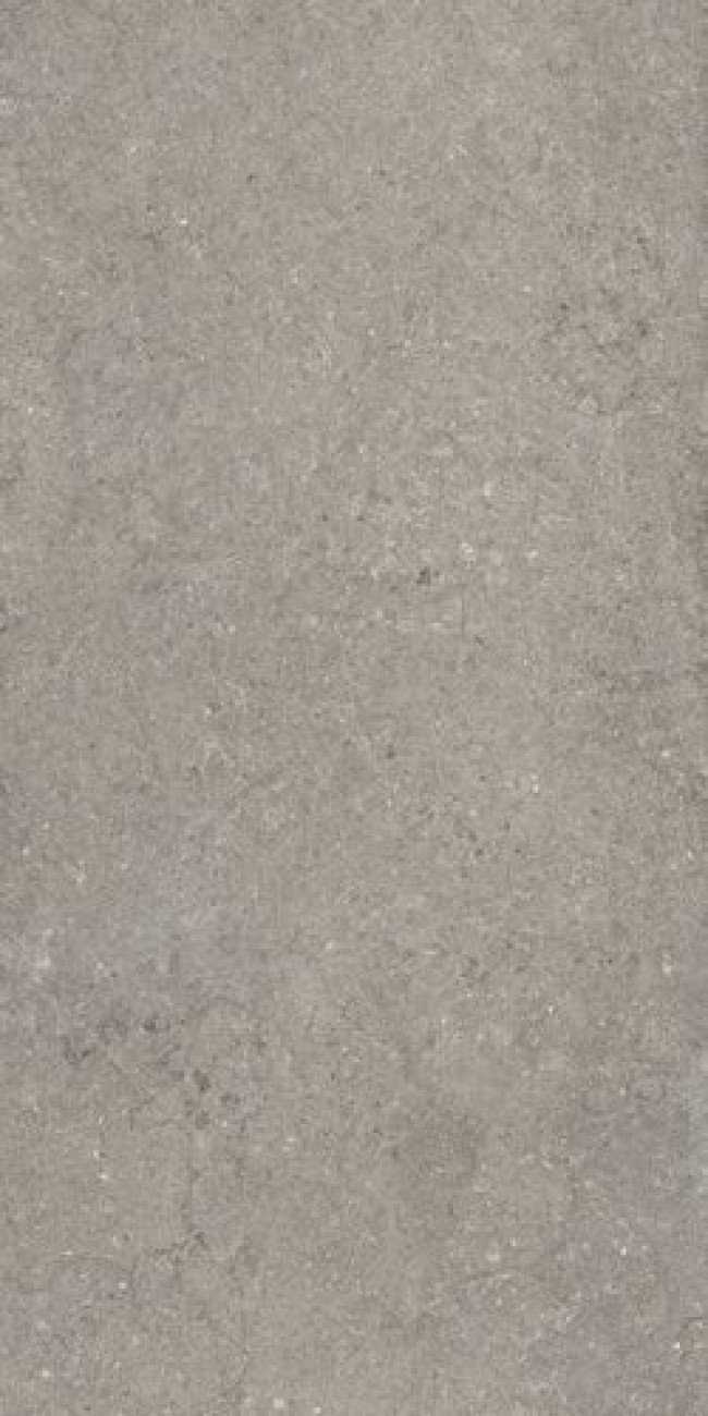 Плитка 120x60 9мм Discover Grey Ret 610010002728 матовая серый камень Италон Плитка 120x60 9мм Discover Grey Ret 610010002728 матовая серый камень Италон
