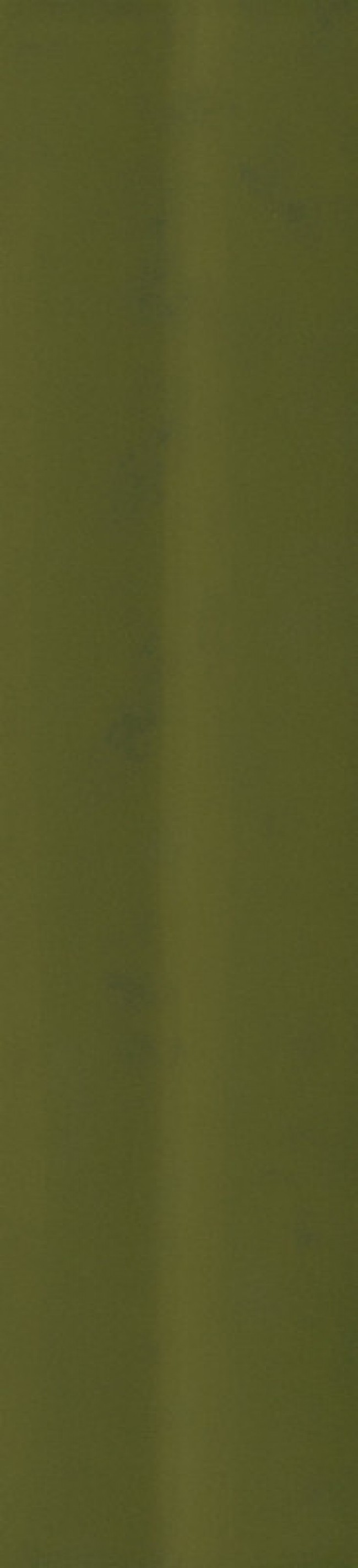 Плитка 23x6 Sensi Colore Muschio Glossy Ondul 787144 зеленый краска, штукатурка, однотонная 9мм Casa Dolce Casa Плитка 23x6 Sensi Colore Muschio Glossy Ondul 787144 зеленый краска, штукатурка, однотонная 9мм Casa Dolce Casa