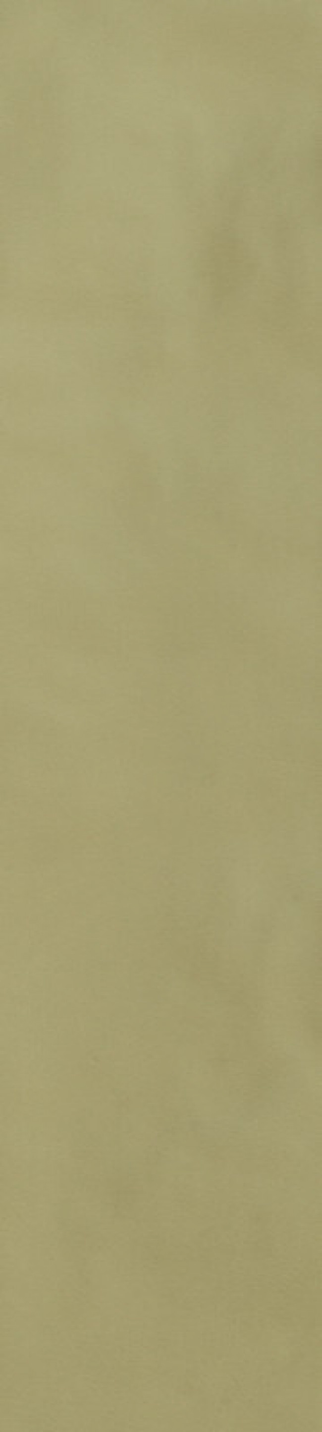 Плитка 23x6 9мм Sensi Colore Salvia Glossy 786011 зеленый однотонная, краска, штукатурка Casa Dolce Casa Плитка 23x6 9мм Sensi Colore Salvia Glossy 786011 зеленый однотонная, краска, штукатурка Casa Dolce Casa