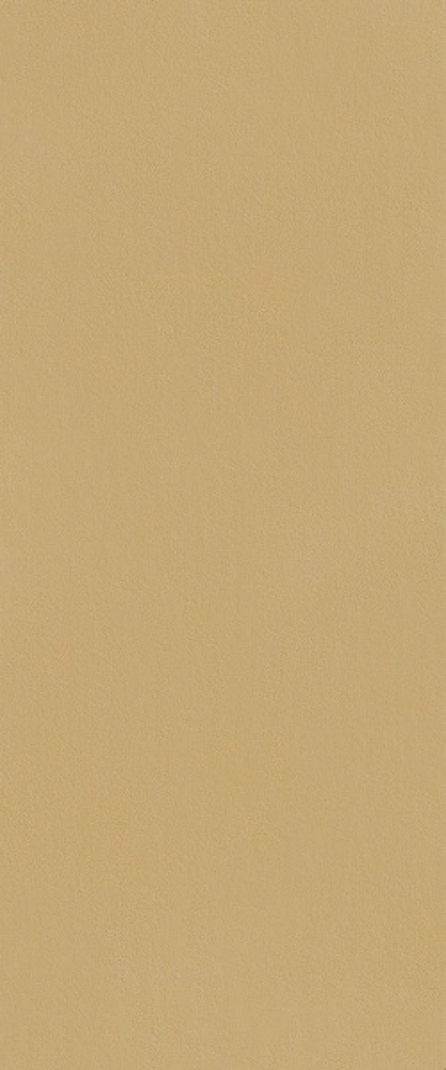 Плитка 120x50 8.5мм fTDS True Color Caramel RT матовая Fap Ceramiche Плитка 120x50 8.5мм fTDS True Color Caramel RT матовая Fap Ceramiche