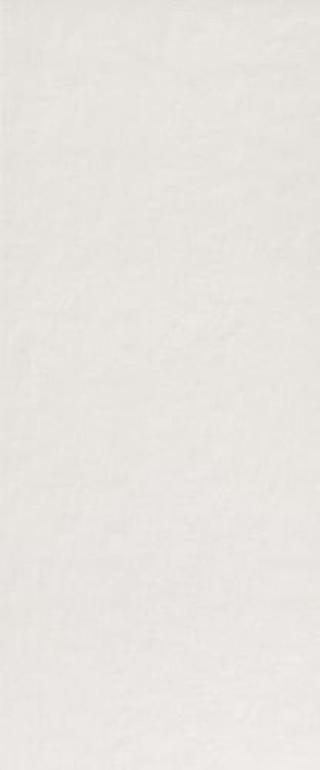 Плитка Fap Ceramiche 120x50 Milano Mood Ghiaccio Matt Fqaw матовая белый бетон, цемент, краска, штукатурка Плитка Fap Ceramiche 120x50 Milano Mood Ghiaccio Matt Fqaw матовая белый бетон, цемент, краска, штукатурка