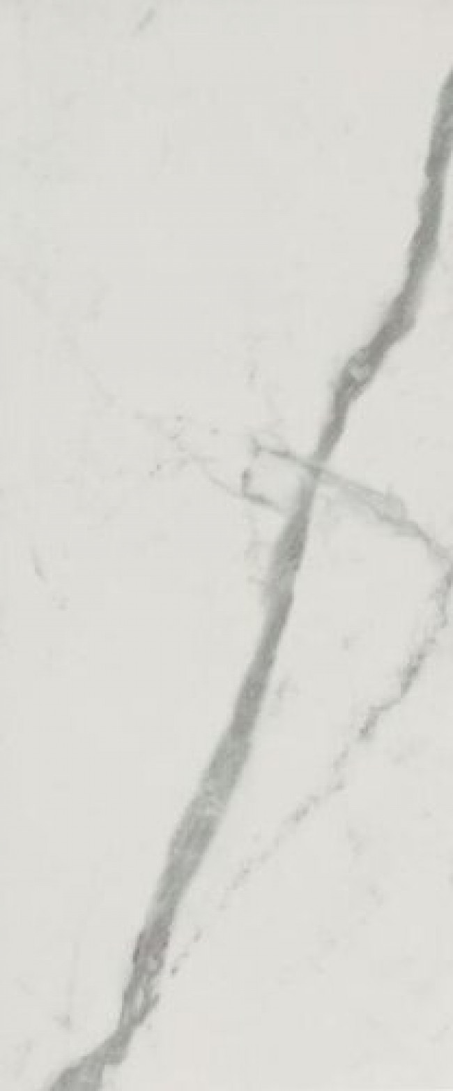 Плитка 120x50 Roma Gold Carrara Superiore Brillante Fqcs глянцевая белый мрамор Fap Ceramiche Плитка 120x50 Roma Gold Carrara Superiore Brillante Fqcs глянцевая белый мрамор Fap Ceramiche