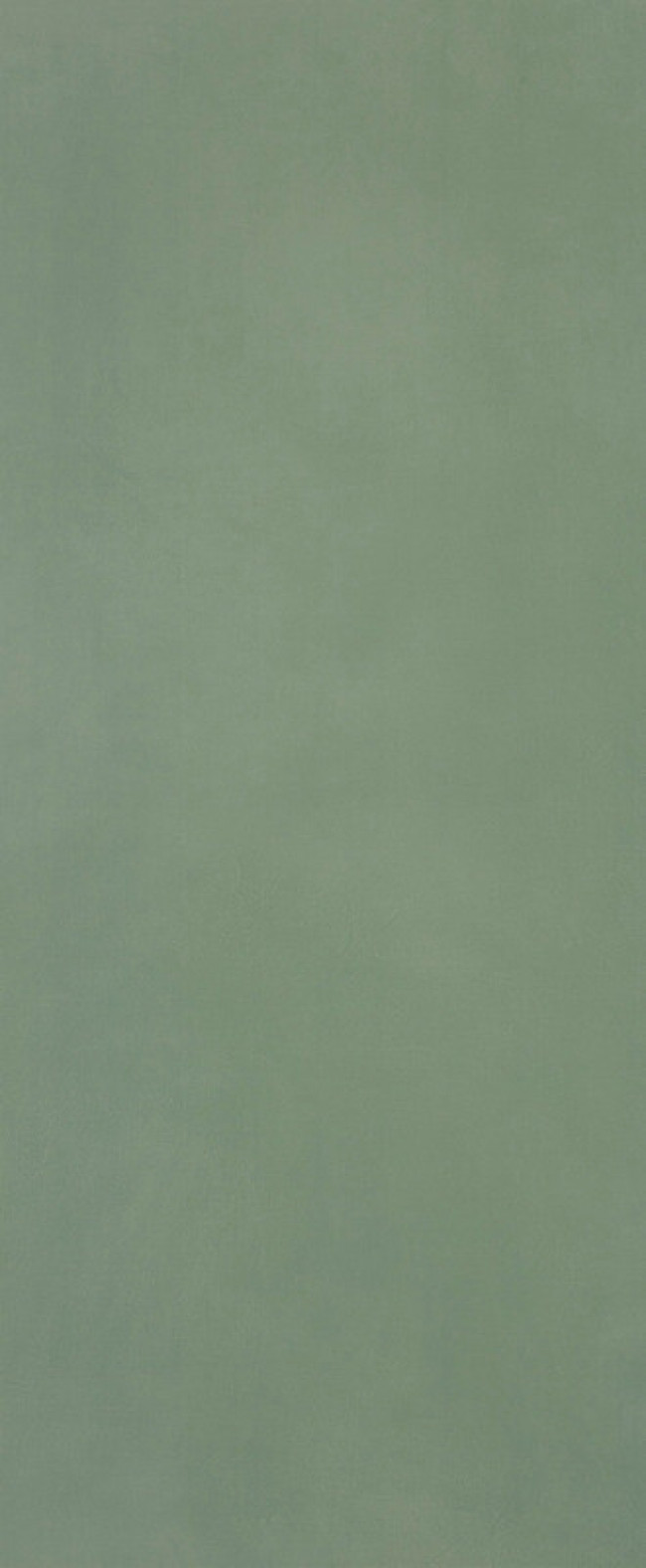 Плитка 120x50 Materia Brillante Bosco Ftoj зеленый однотонная, краска, штукатурка Fap Ceramiche Плитка 120x50 Materia Brillante Bosco Ftoj зеленый однотонная, краска, штукатурка Fap Ceramiche