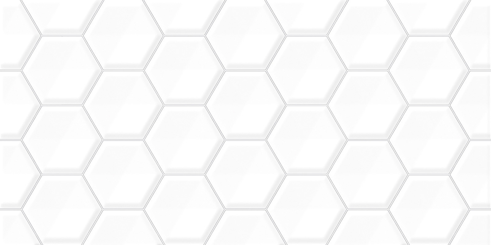 Плитка настенная 50x25 TWU09BLB010 Bilbao глянцевая 9мм Alma Ceramica Плитка настенная 50x25 TWU09BLB010 Bilbao глянцевая 9мм Alma Ceramica