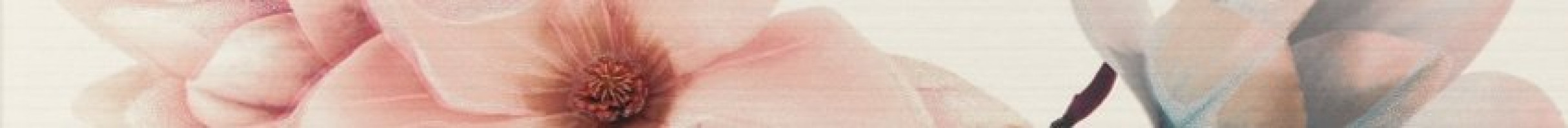 Бордюр 60x5 Listello Beige L-818 Moon глянцевая Myr ceramica Бордюр 60x5 Listello Beige L-818 Moon глянцевая Myr ceramica