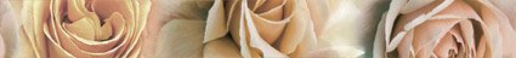 Manhattan L-843 6х60 глянцевая Myr ceramica Manhattan L-843 6х60 глянцевая Myr ceramica